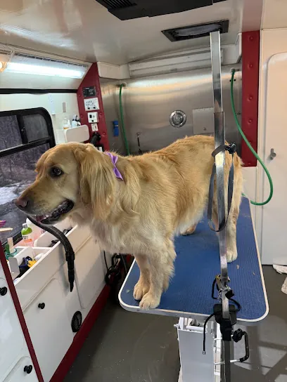 Golden retreat mobile grooming — photo from their website