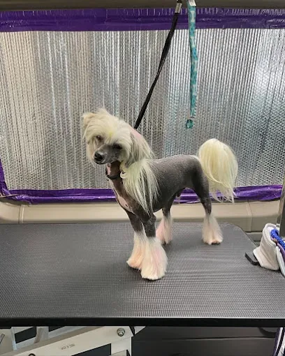 Crystal Rose Mobile Grooming — photo from their website
