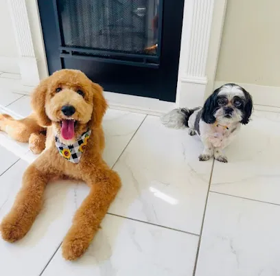 Mobile Pet Groomer Glendale | Pawgo — photo from their website
