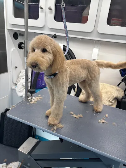 Dashing Dogs Mobile Grooming — photo from their website