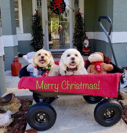 Floridas Finest Pets Mobile Grooming — photo from their website