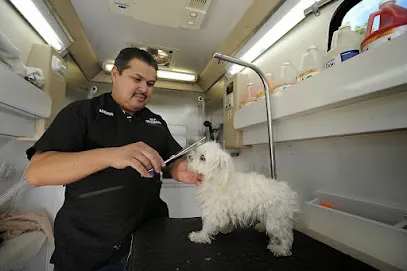 VIP Mobile Dog Grooming — photo from their website