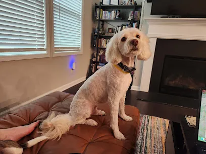 The Grooming Bandit Mobile Pet Spa — photo from their website