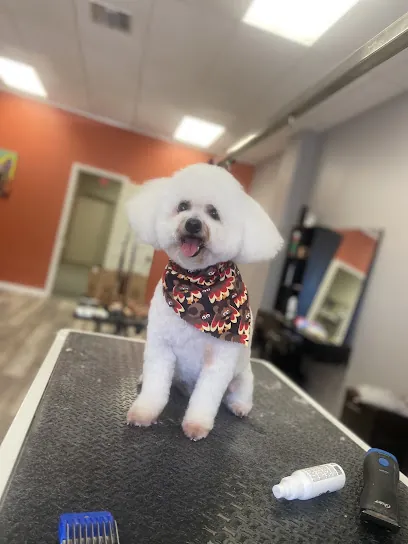 Adam’s mobile pet grooming — photo from their website