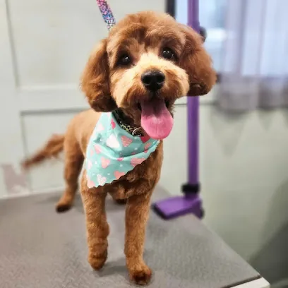 Lucky Pups Mobile Dog Grooming — photo from their website