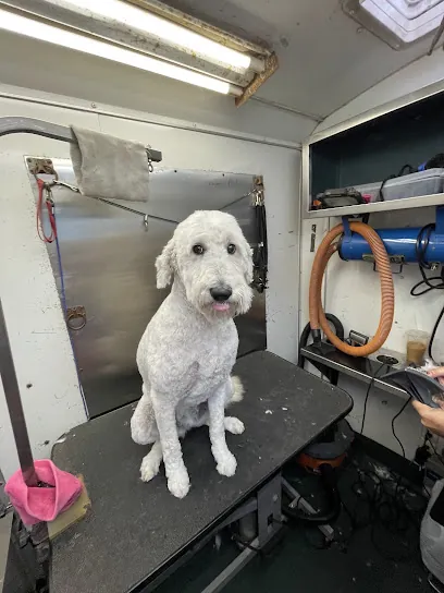 Soapy Claws & Paws Mobile Pet Grooming — photo from their website