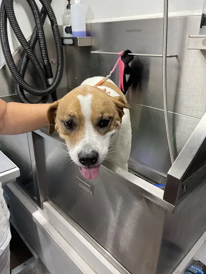 K Kutz Mobile Grooming — photo from their website