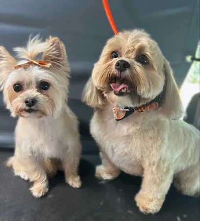 Lap of Luxury Mobile Dog Spa — photo from their website