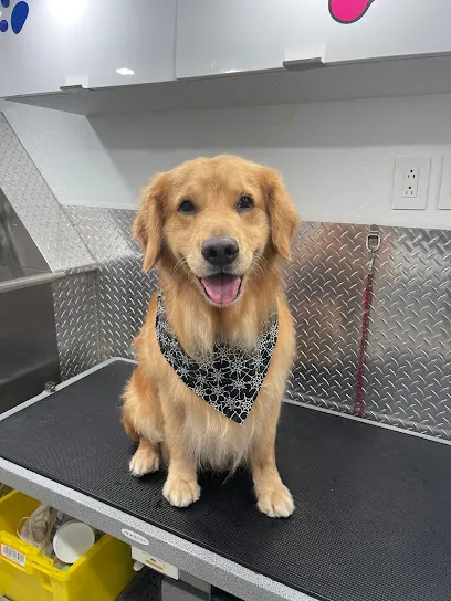 Mobile Dog Grooming Pinecrest — photo from their website