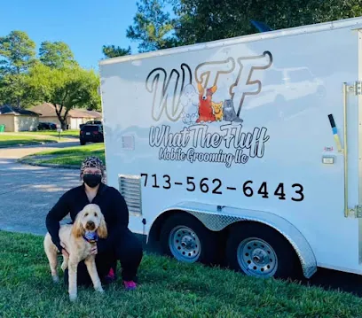 What The Fluff Mobile Grooming LLC - Houston, TX — photo from their website