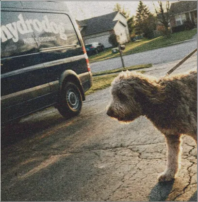Hydrodog West Nashville - Mobile Dog Grooming — photo from their website