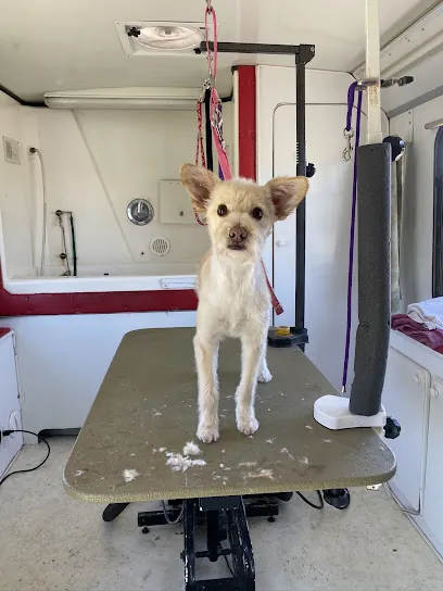 Rubies mobile pet grooming — photo from their website