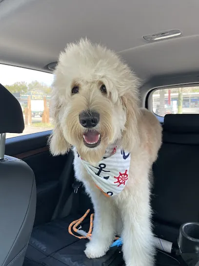 Fairy Tails Pet Grooming — photo from their website