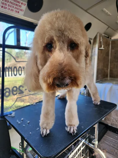 Pawz 4 Life mobile pet grooming — photo from their website