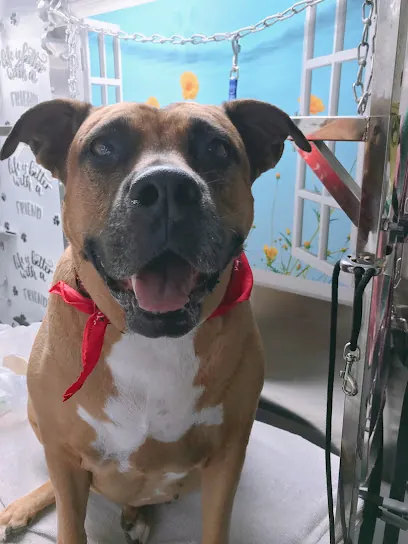 Little Dove Pet Wash (mobile) — photo from their website