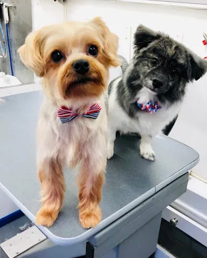 Fluffing Fabulous Mobile Pet Grooming — photo from their website