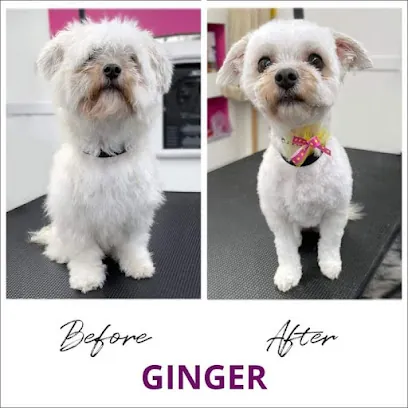 Angie's Mobile Pet Styling — photo from their website