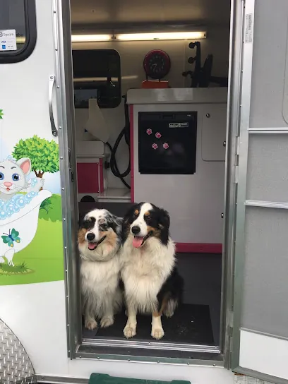 Pixie Willows Mobile Pet Spa — photo from their website