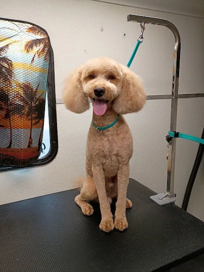 Dottie Do's Mobile Grooming LLC — photo from their website