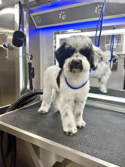 Pawradise Pet Grooming Salon and Mobile — photo from their website