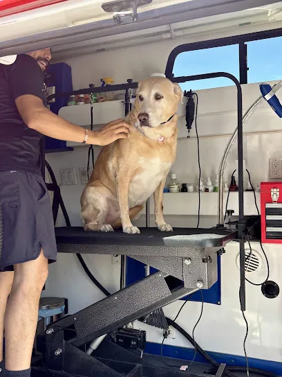 PawDash Mobile Pet Spa — photo from their website
