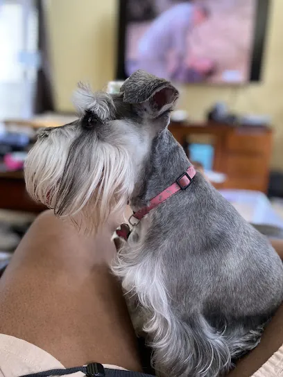 The Pet Set- Mobile Grooming Spa — photo from their website