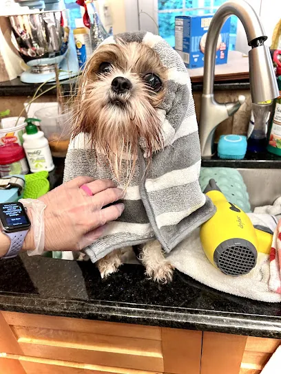 Southern Pawsitality Mobile Grooming & Pet Services — photo from their website