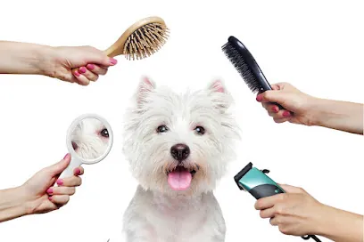 Best Mobile Pet Grooming Around — photo from their website