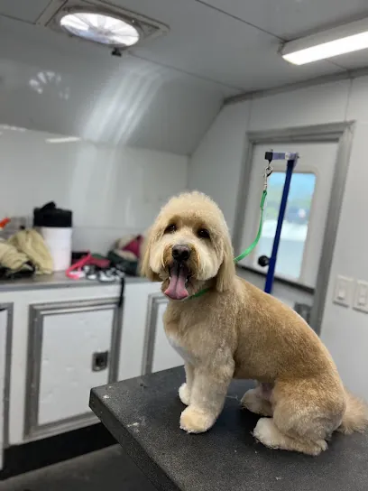Always Sparkle Mobile Pet Grooming — photo from their website