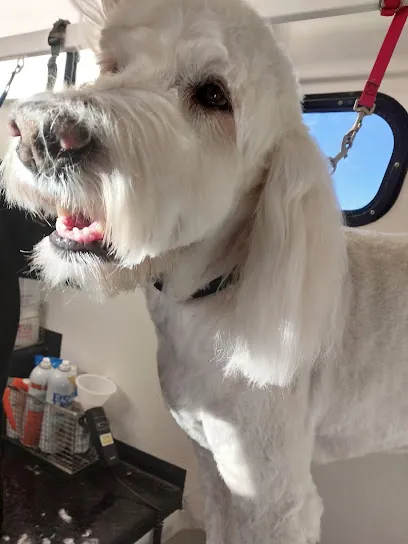 DINGO LOCO MOBILE GROOMING — photo from their website