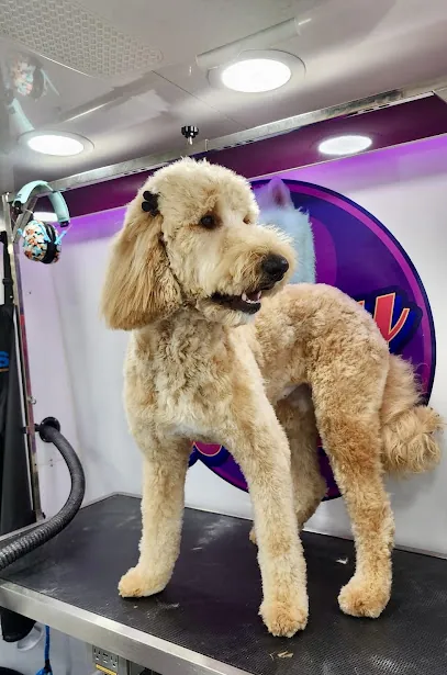 Furry Babies Mobile Grooming — photo from their website