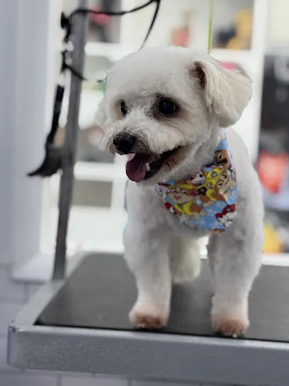 Puppylicious Pet Mobile Grooming & Bakery — photo from their website