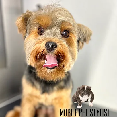 Mobile Pet Stylist Dallas — photo from their website