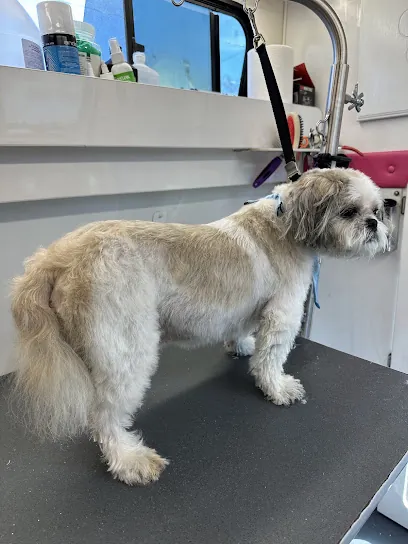 Bark2Park Mobile Pet Grooming & Spa — photo from their website
