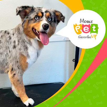 Mobile Pet Grooming VIP Services MIA NE — photo from their website
