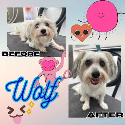 Howliday Pet Spa Mobile Pet Grooming — photo from their website
