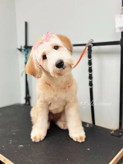 Bella and Bow's Pet Salon North Mobile — photo from their website