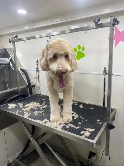 Tamarac Mobile Pet Grooming — photo from their website