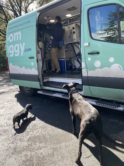 Groombuggy Mobile Dog Grooming — photo from their website