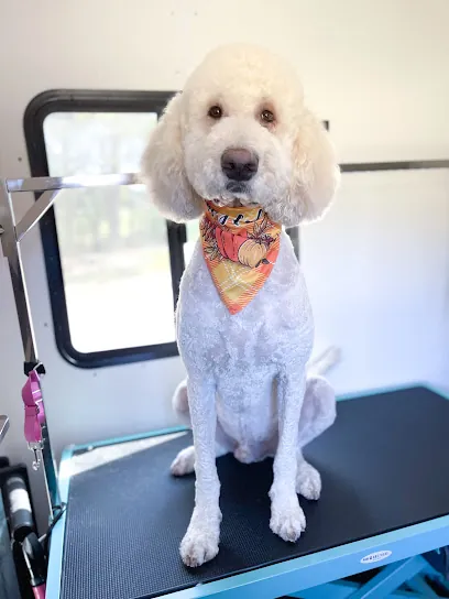 Top Dawg Mobile Grooming — photo from their website