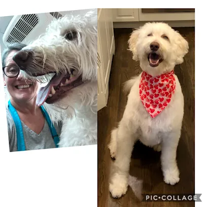 My Mobile Groomer, LLC - Current Clients Only — photo from their website
