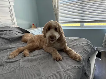 Off the Leash Mobile Grooming — photo from their website