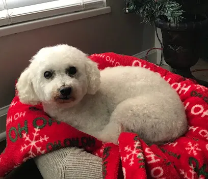 Brittany and the Beasts Mobile Pet Grooming — photo from their website