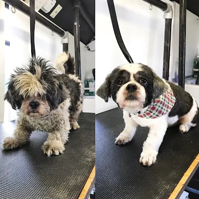 Jack & Sally Mobile Pet Salon LLC — photo from their website