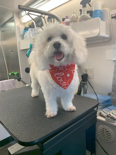BeachTown Pets Mobile Spa — photo from their website