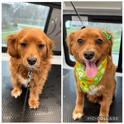 Groombar Mobile - Morris-Union — photo from their website