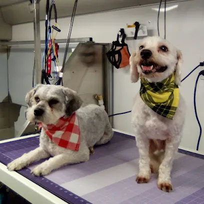 Happy Happy Pet Mobile Spa — photo from their website
