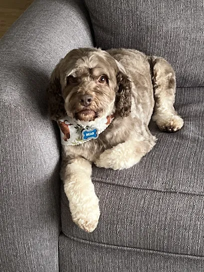 The Pink Pup Mobile Grooming — photo from their website
