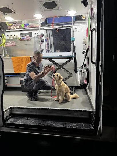 Groombuggy Mobile Dog Grooming — photo from their website