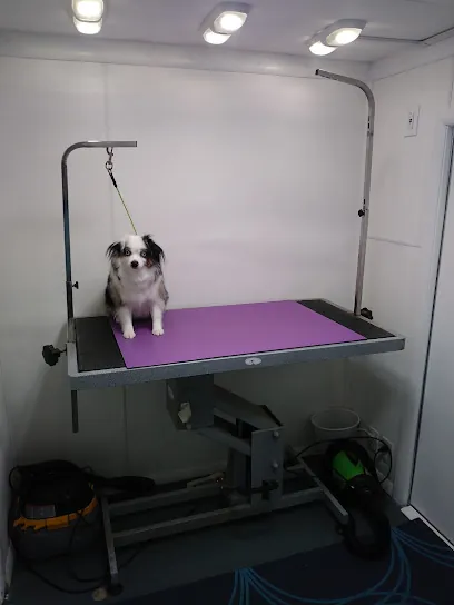 Maci's Mutt Cutz Mobile Pet Grooming — photo from their website